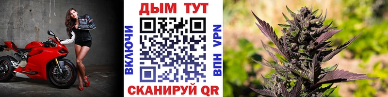 Продажа наркотиков Ипатово ГАШ  Бутират  Alpha-PVP  Меф  Марихуана 