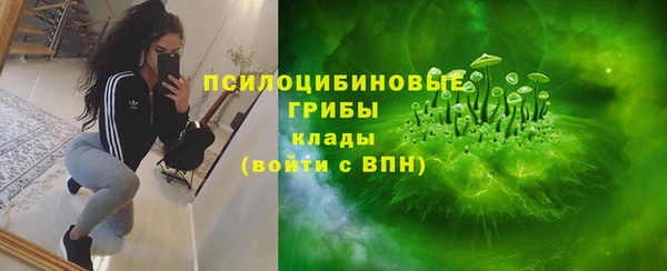 PSILOCYBIN Абдулино